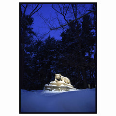 Lion Shrine Winter Evening